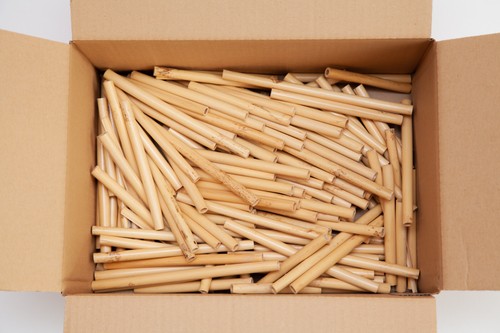 Rohrholz oboe arundo - rohrholz, donax