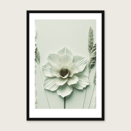 Arundo donax botanical - arundo, wall