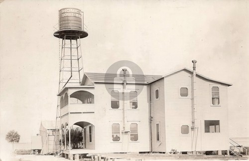Cedar key florida donax scopa - cedar,