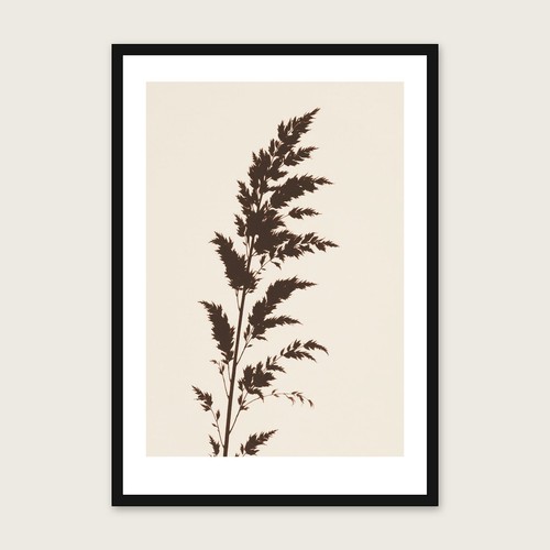 Arundo donax wall art - print,