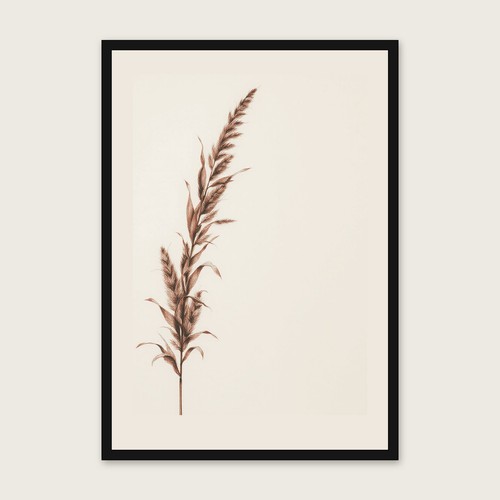 Arundo donax charcoal - arundo,